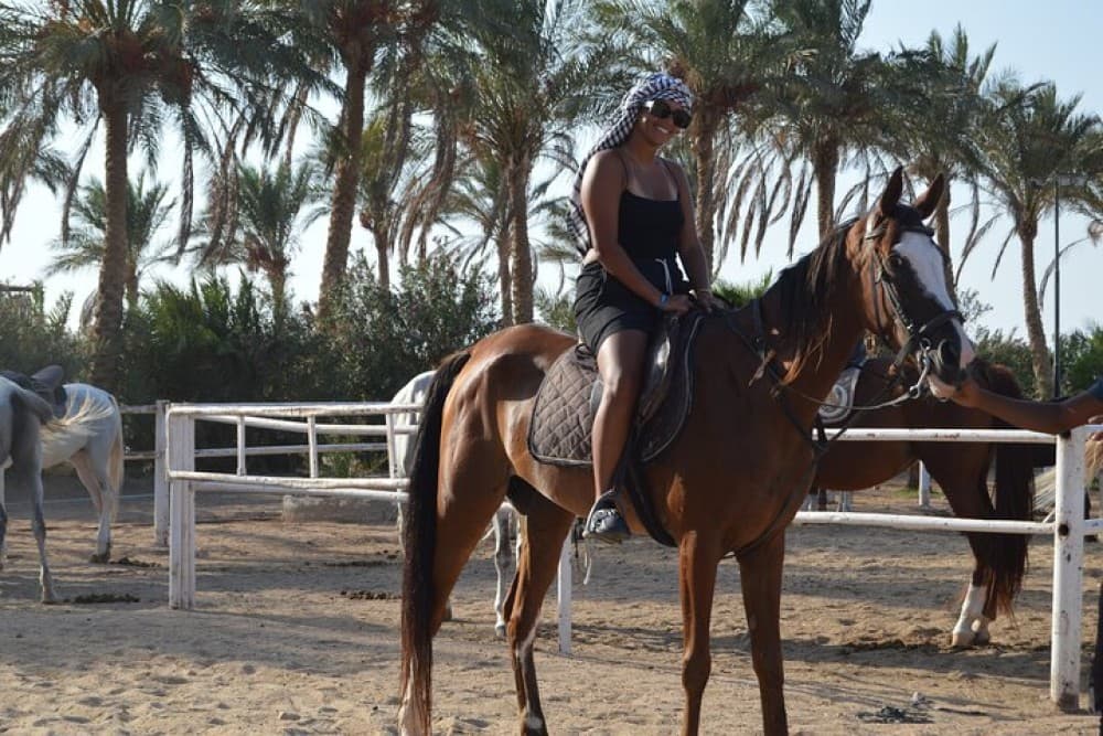 1 Hour Guided Horse Riding Activity in Sharm El Sheikh | ®ExcursionMania - Image 5