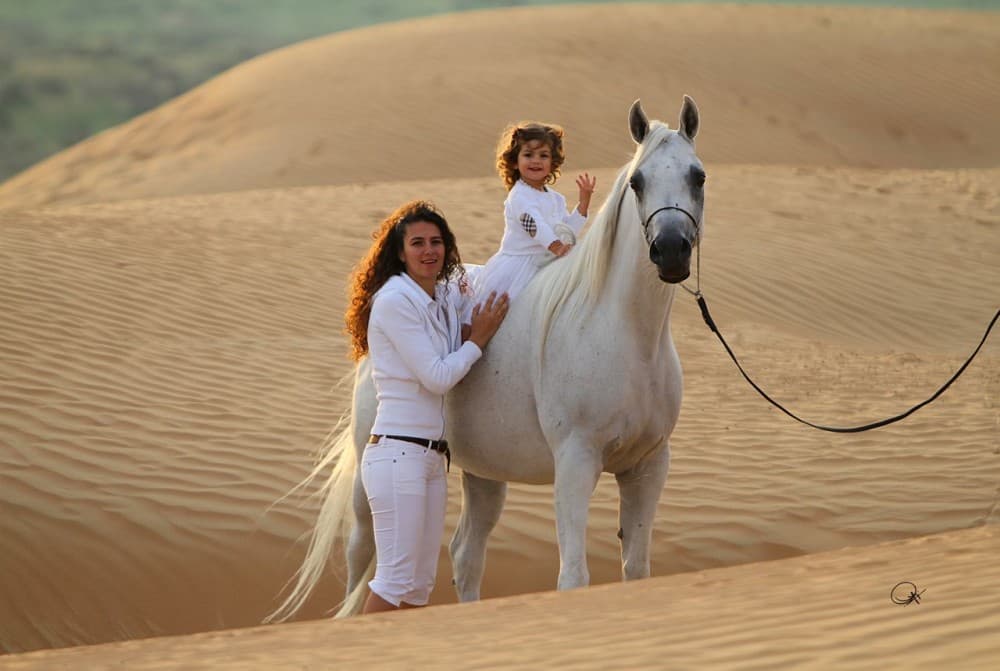 1 Hour Guided Horse Riding Activity in Sharm El Sheikh | ®ExcursionMania - Image 6