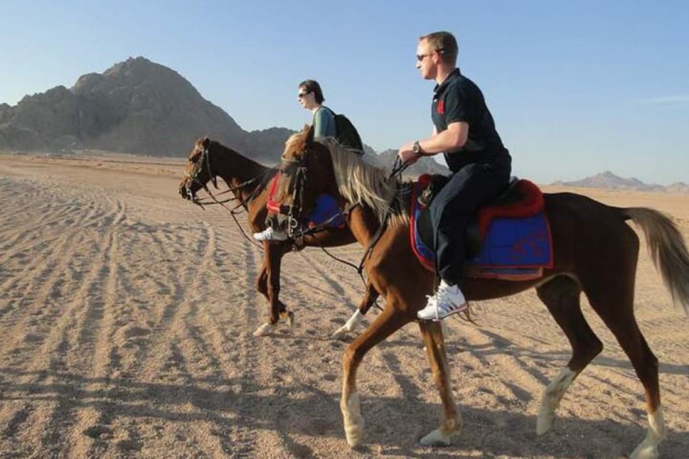 1 Hour Guided Horse Riding Activity in Sharm El Sheikh | ®ExcursionMania - Image 7