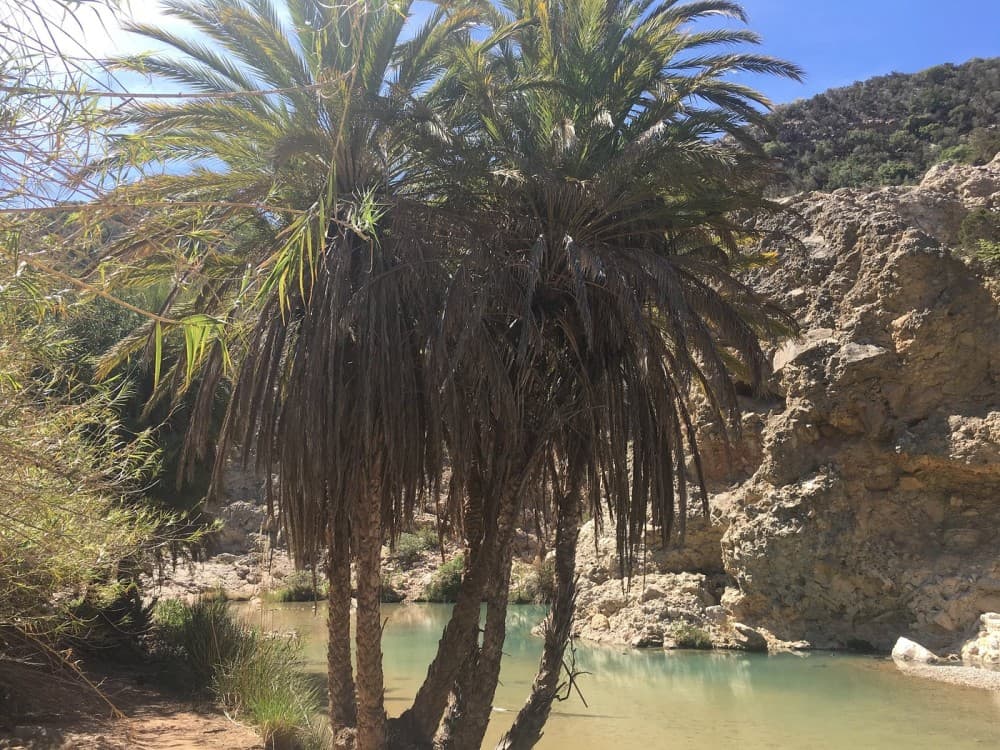 Agadir Cooking Class Including Paradise Valley and Sand Dunes Desert | ®ExcursionMania - Image 6