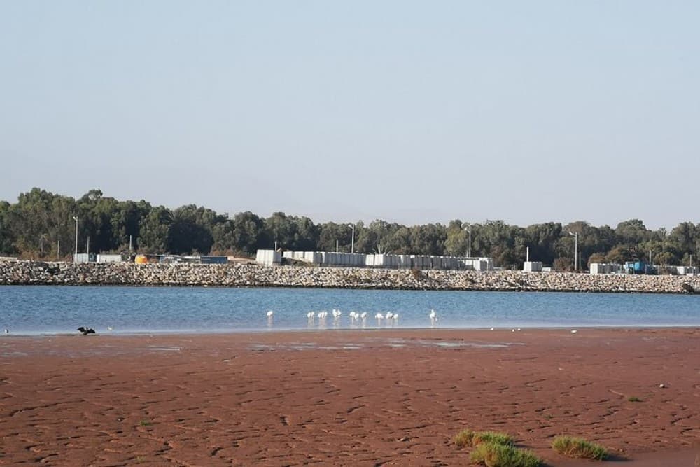 Agadir Electric Scooter Tour | ®ExcursionMania - Image 3