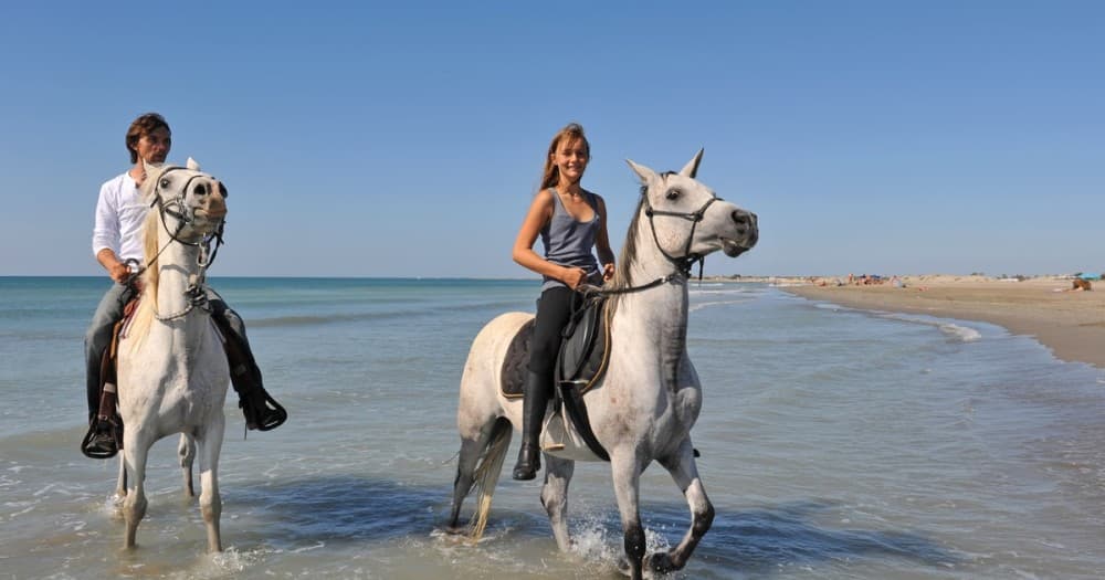 1 Hour Beach Horse Ride in Sharm El Sheikh | ®ExcursionMania - Image 6