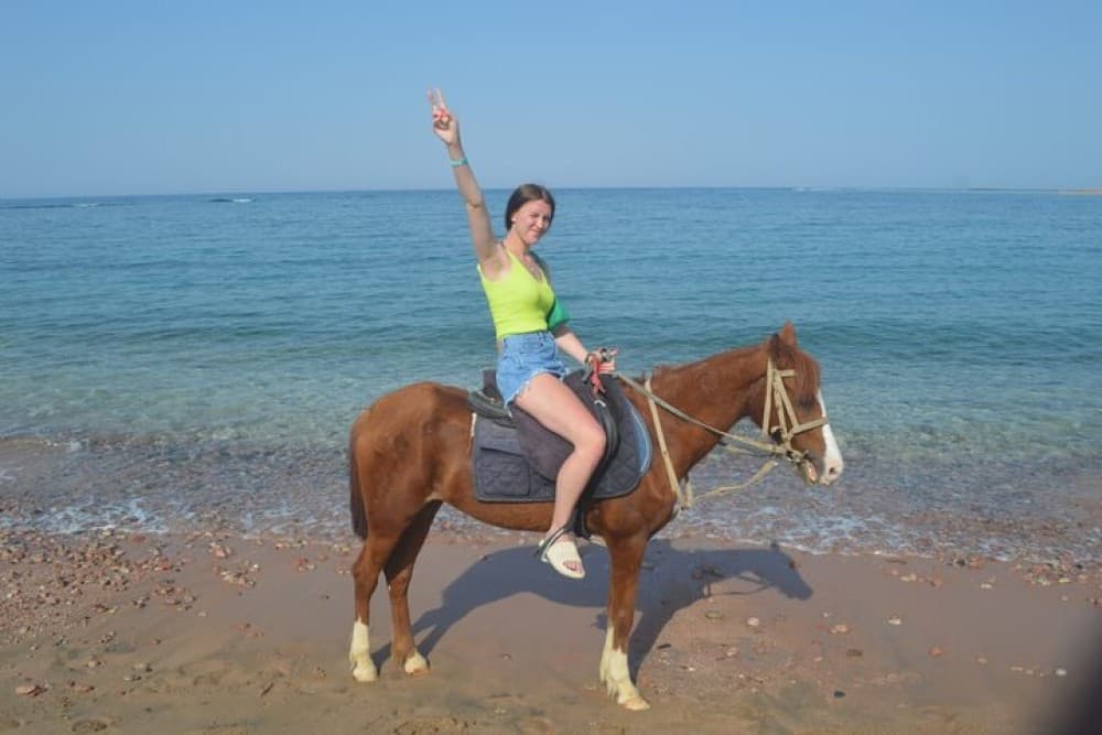 1 Hour Beach Horse Ride in Sharm El Sheikh | ®ExcursionMania - Image 4