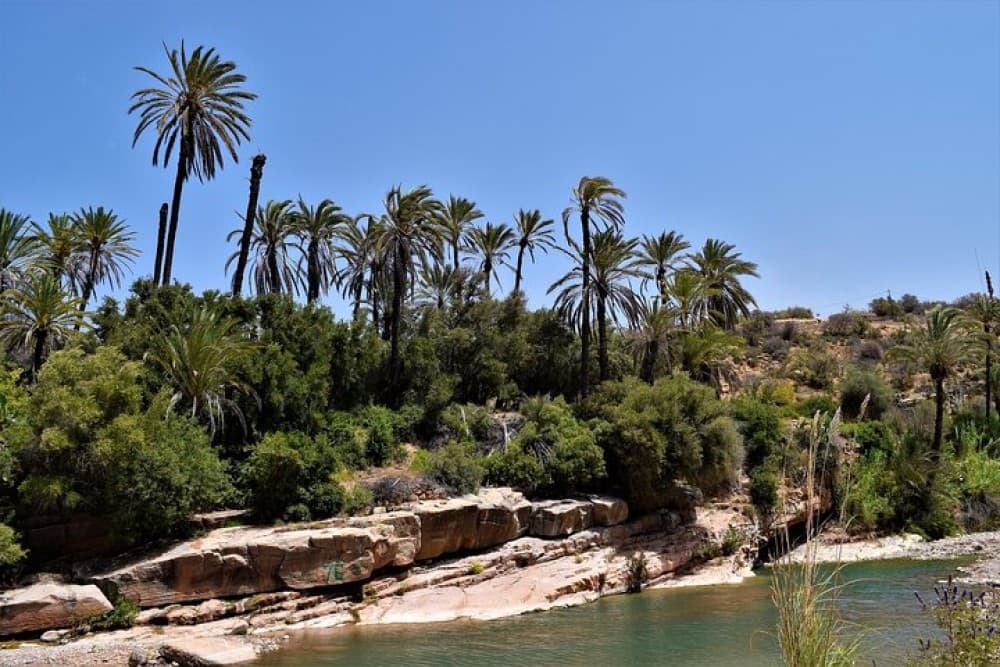 Paradise Valley and Camel Ride and Spa in All in One in Agadir | ®ExcursionMania - Image 2
