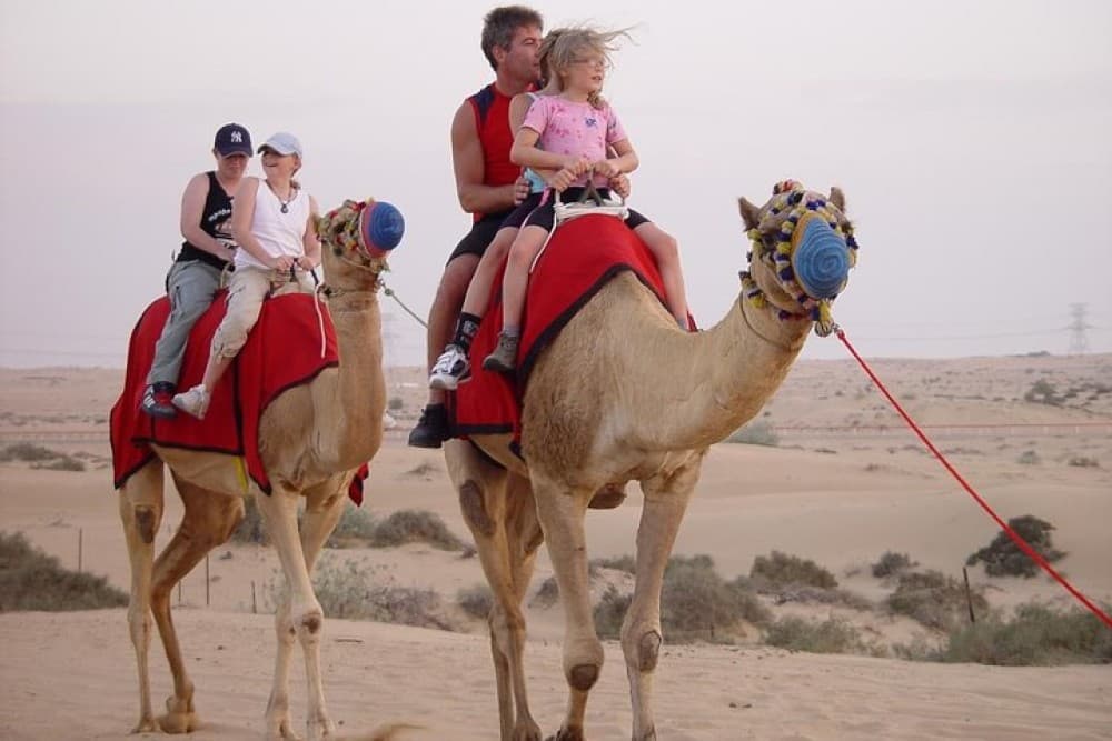 Paradise Valley and Camel Ride and Spa in All in One in Agadir | ®ExcursionMania - Image 5