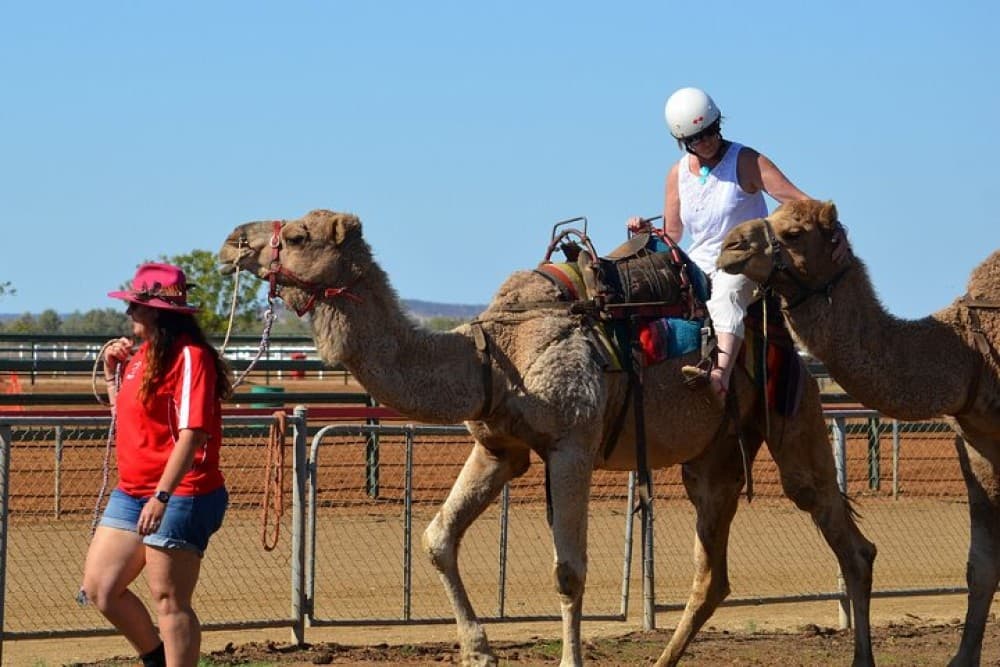 Paradise Valley and Camel Ride and Spa in All in One in Agadir | ®ExcursionMania - Image 6
