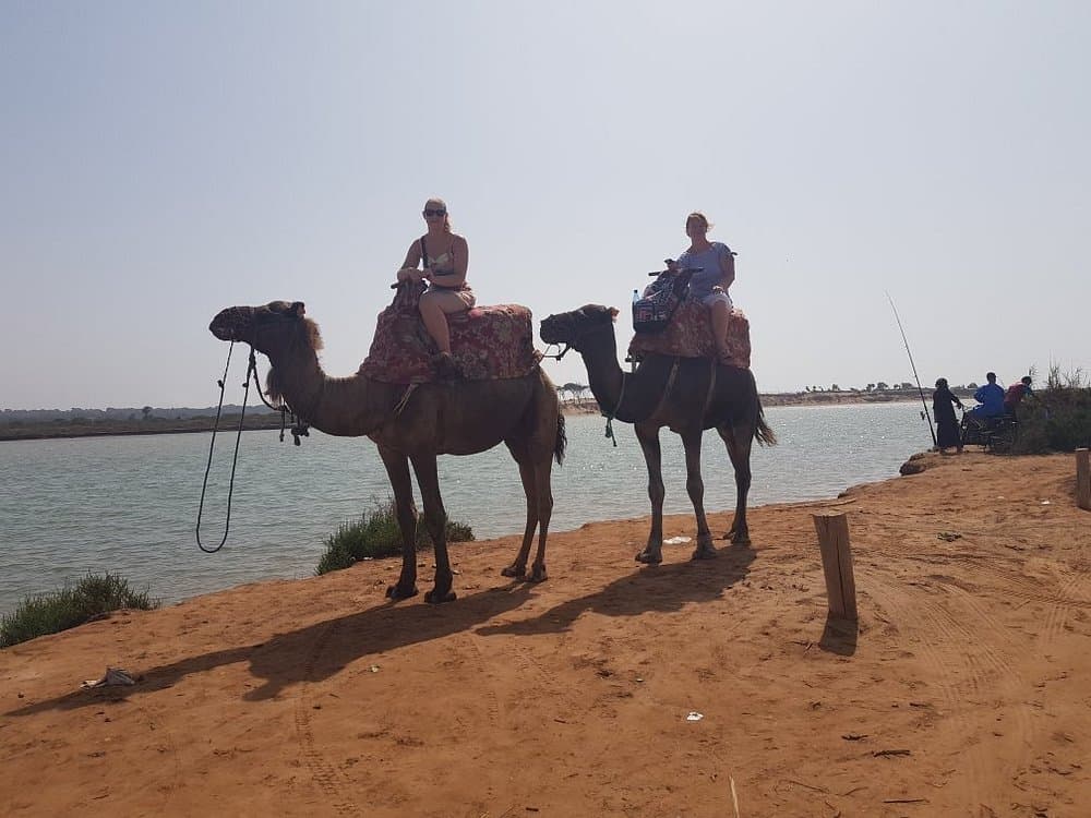 Paradise Valley and Camel Ride and Spa in All in One in Agadir | ®ExcursionMania - Image 9