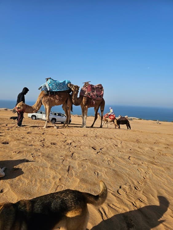 Agadir Jeep safari 4x4 Desert Adventures with Lunch | ®ExcursionMania - Image 4