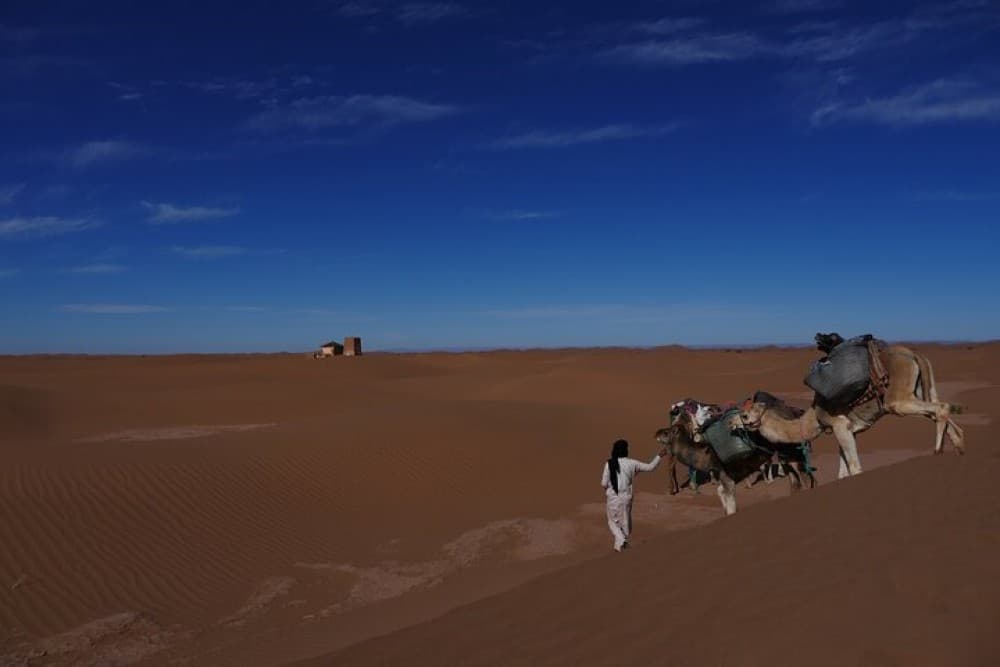 2 Days Desert Trip From Agadir To Zagora | ®ExcursionMania - Image 4
