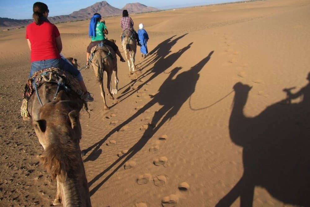 2 Days Desert Trip From Agadir To Zagora | ®ExcursionMania - Image 5