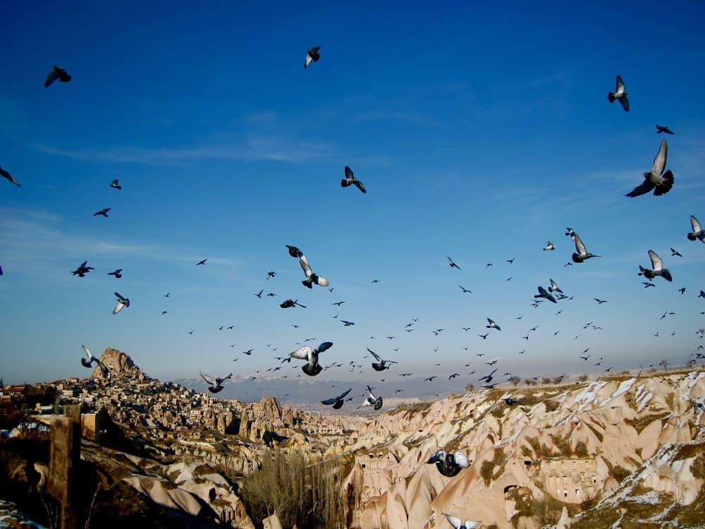 Istanbul: 2 Days Cappadocia Tour by Bus | ®ExcursionMania - Image 11