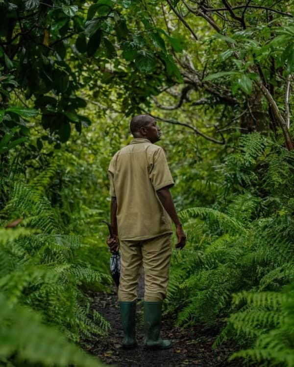 Zanzibar Jozani Forest, Kuza Cave, and Mtende Beach Tour | ®ExcursionMania - Image 1