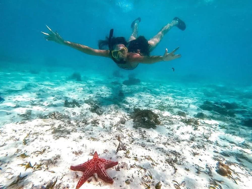 Zanzibar Snorkeling and Sandbank Picnic BBQ Lunch | ®ExcursionMania - Image 3