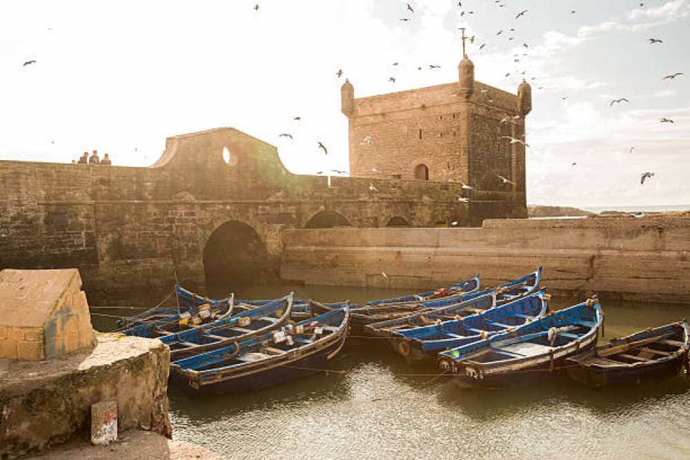 Essaouira Day Trip From Agadir Or Taghazout | ®ExcursionMania - Image 2