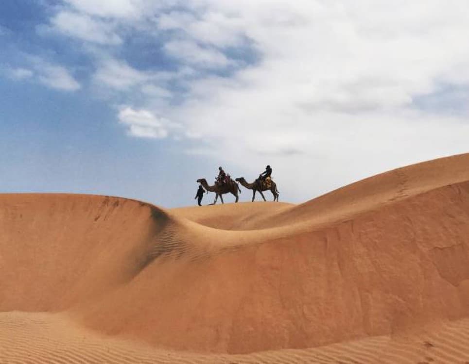 Essaouira Day Trip From Agadir Or Taghazout | ®ExcursionMania - Image 10