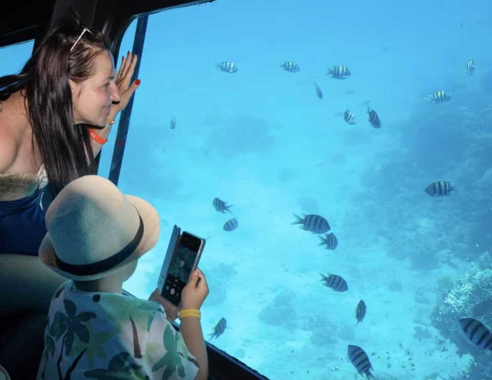Hurghada: Royal Seascope Submarine Cruise with Snorkel Stop | ®ExcursionMania - Image 3