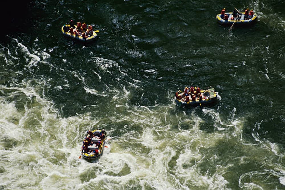 From Kasane: Full-Day White Water Rafting | ®ExcursionMania - Image 9