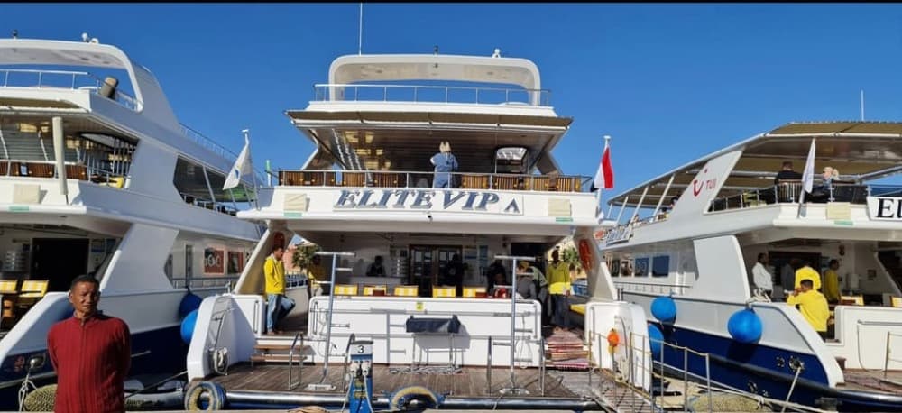 Marsa Alam: Elite vip Turtle bay snorkeling with BBQ Lunch | ®ExcursionMania - Image 10
