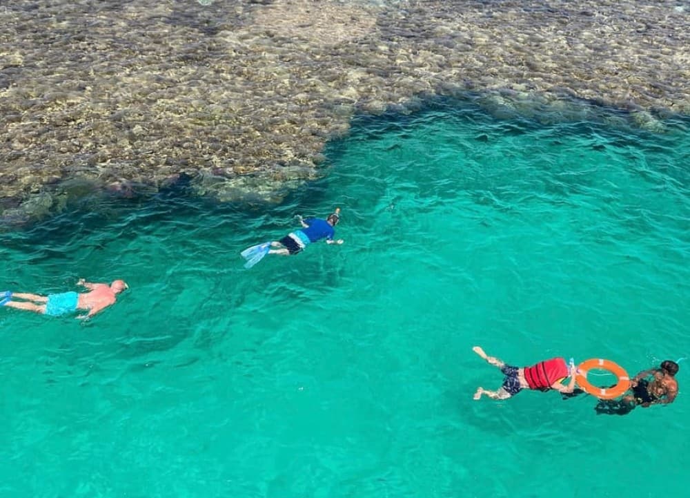 Marsa Alam: Elite vip Turtle bay snorkeling with BBQ Lunch | ®ExcursionMania - Image 2