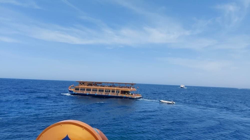 Marsa Alam: Nefertari Sunset Turtle Bay Cruise with Dinner | ®ExcursionMania - Image 9