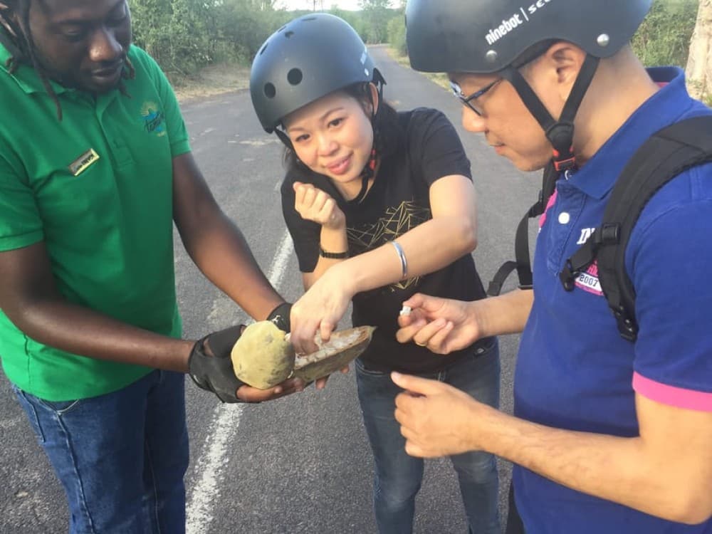 Victoria Falls: Segway Tour | ®ExcursionMania - Image 7