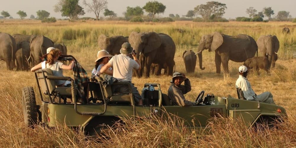 Victoria Falls Safari with Lunch and Sunset Cruise