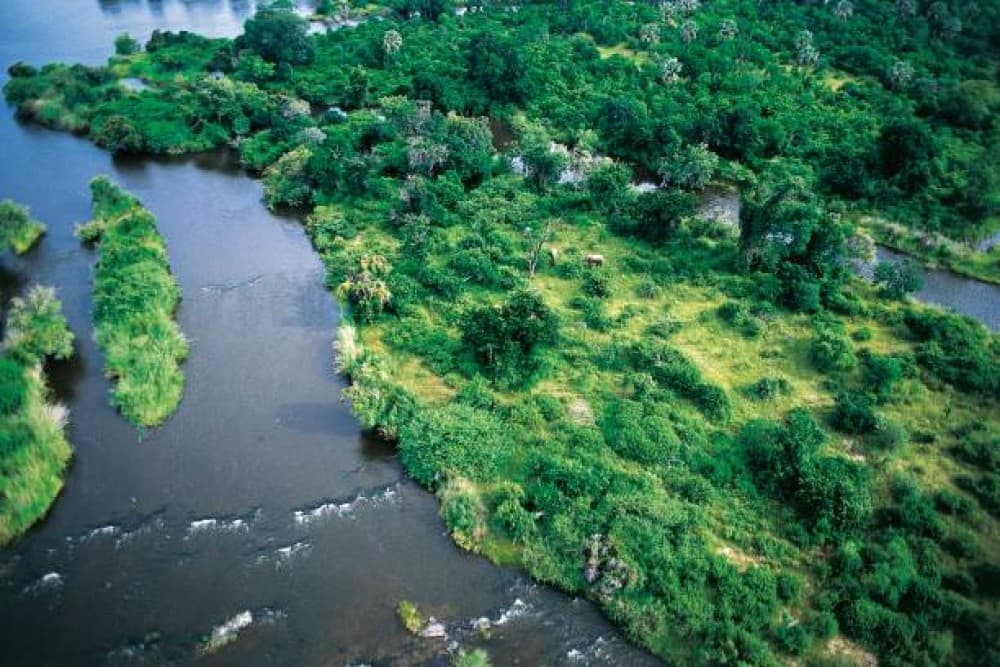 Victoria Falls Safari with Lunch and Sunset Cruise | ®ExcursionMania - Image 8