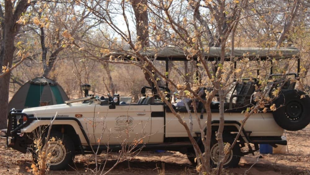 From Victoria Falls: Sunrise to Sunset Chobe Safari | ®ExcursionMania - Image 5