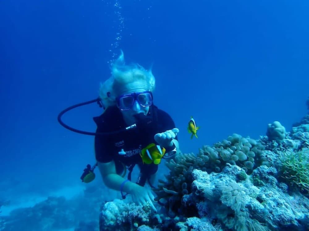 Sharm El Sheikh: Day sail to White island and Ras Mohamed | ®ExcursionMania - Image 3