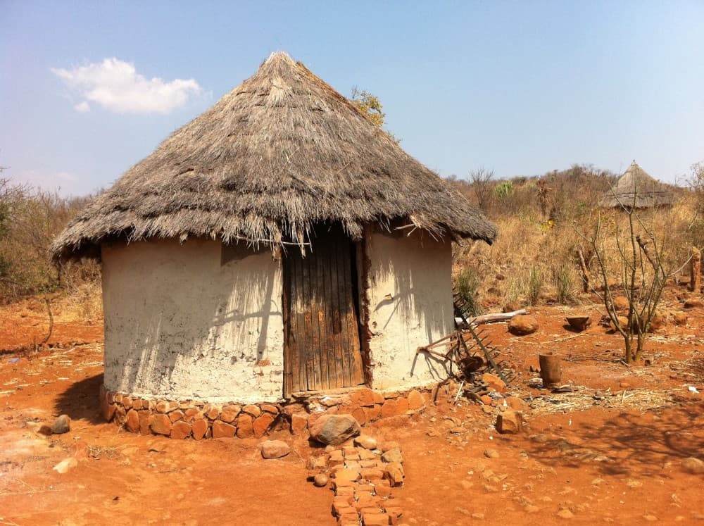 From Victoria Falls: Zimbabwe Traditional Village Tour | ®ExcursionMania - Image 6