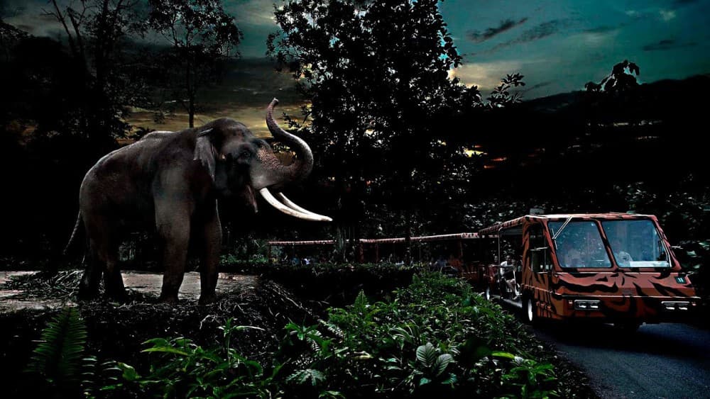 Victoria Falls: Night Game Drive and 3-Course Bush Dinner | ®ExcursionMania - Image 4