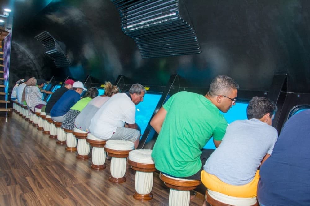 Marsa Alam: Nefertari Cruise with Snorkeling & Lunch/dinner | ®ExcursionMania - Image 5