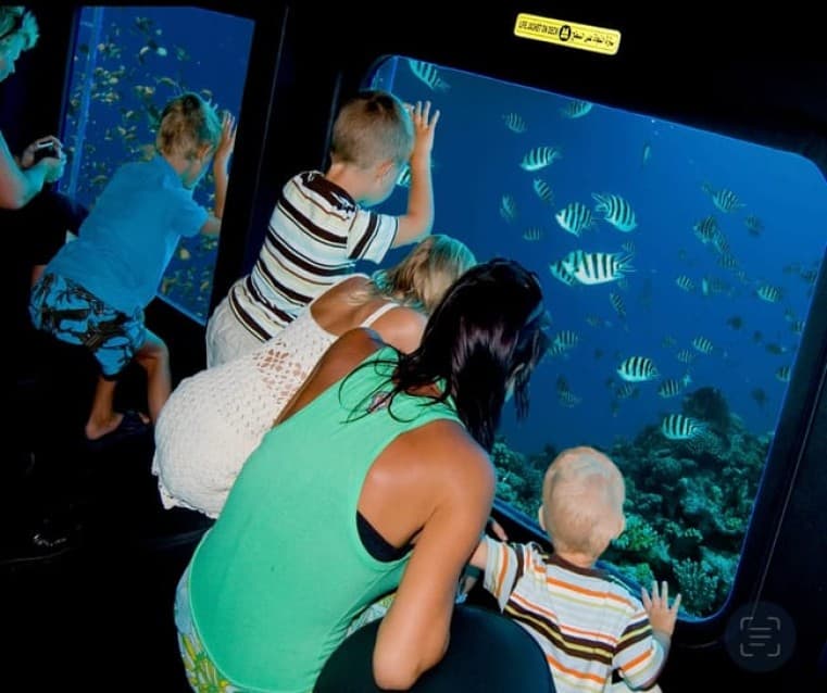 Marsa Alam: Nefertari Cruise with Snorkeling & Lunch/dinner | ®ExcursionMania - Image 6