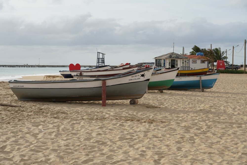 Discover Maio Island in 1 day trip | ®ExcursionMania - Image 4