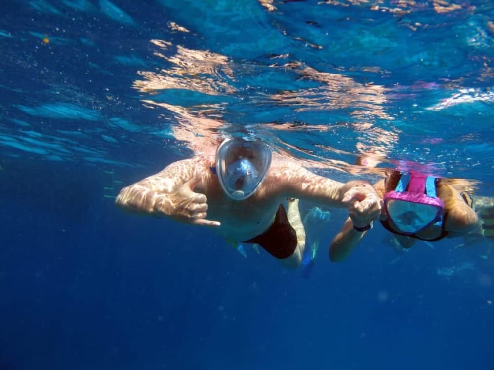 Cairo: Ain Sokhna Snorkeling cruise & optional transfer | ®ExcursionMania - Image 1