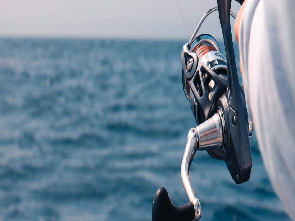 Marmaris Fishing Tour With Rods & Baits Included | ®ExcursionMania - Image 4