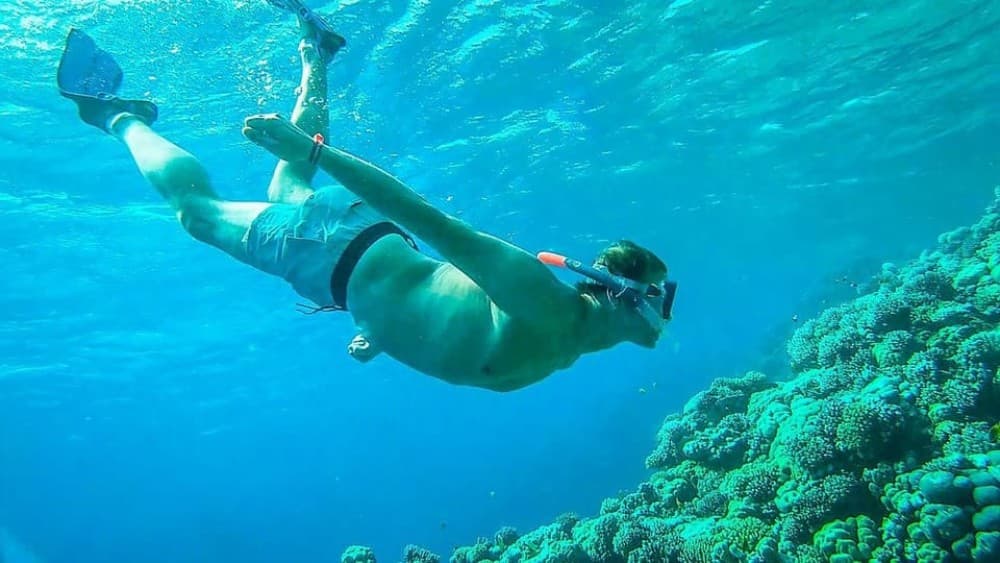 Sharm El Sheikh: Ras Mohamed & White Island Trip with Lunch | ®ExcursionMania - Image 2