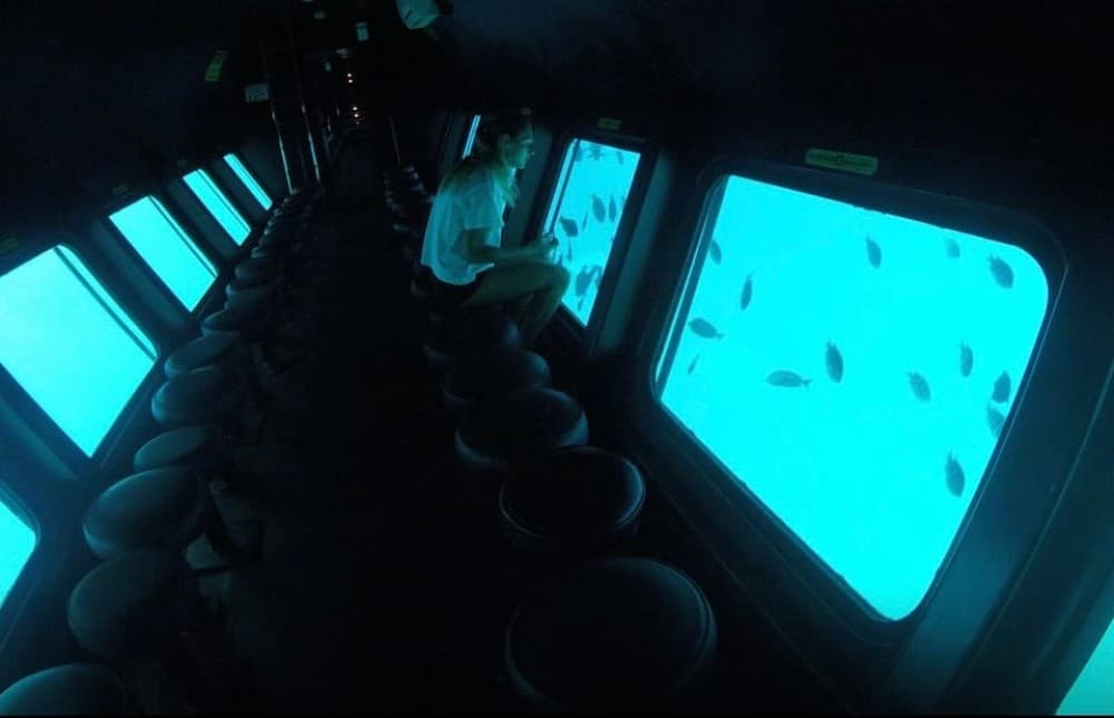 Dahab: Royal seascope Semi-Submarine Cruise | ®ExcursionMania - Image 1