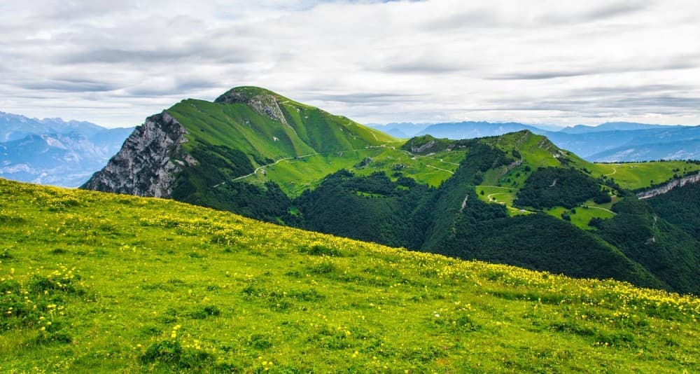 Hike To The Highest Point Of Monte Verde | ®ExcursionMania - Image 3