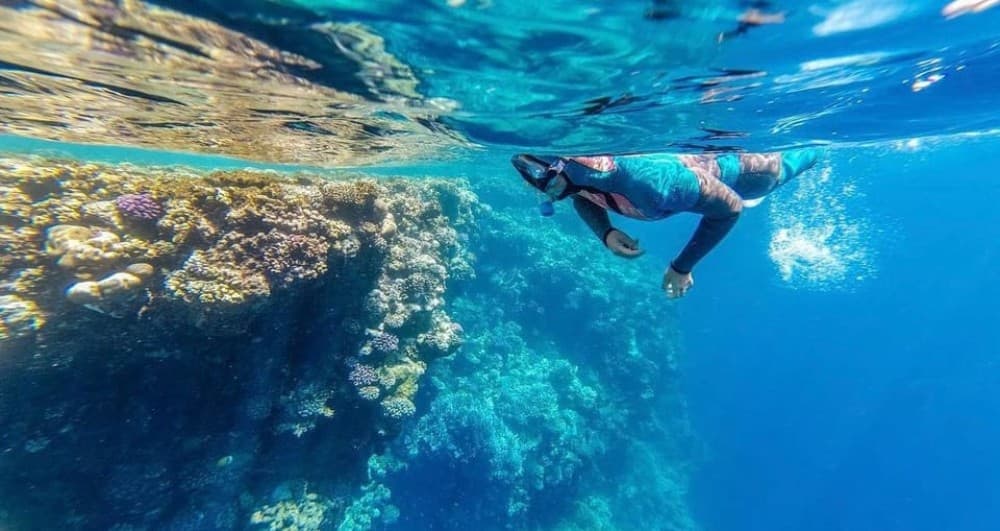 Sharm: Ras Mohammed Half Day Tour by Bus & Allahs gate | ®ExcursionMania - Image 3