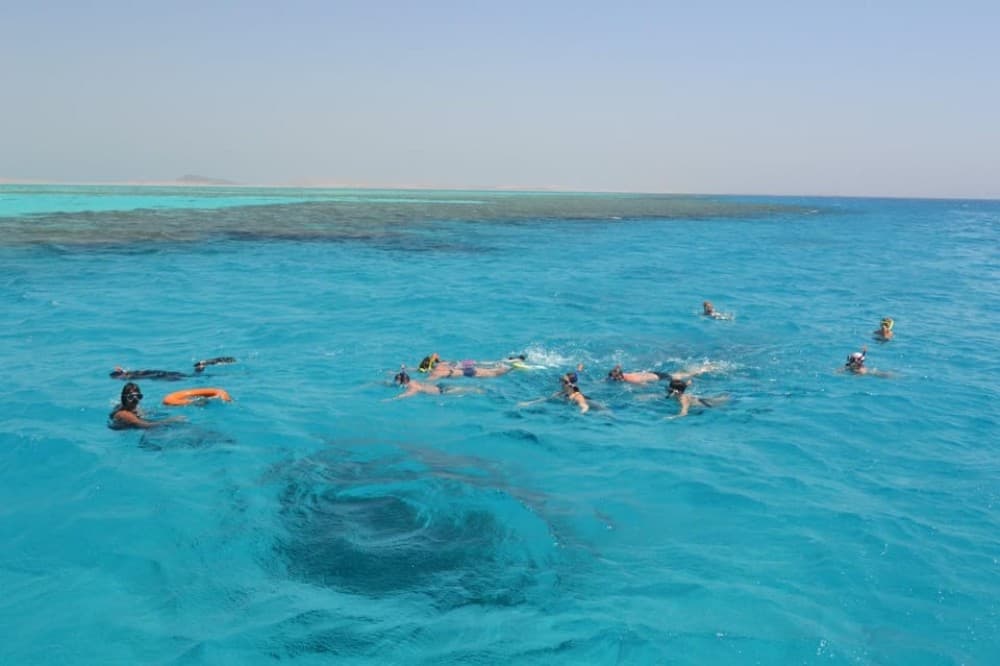 From Sharm: Ras Mohammed Cruise with Island Visit and Lunch | ®ExcursionMania - Image 10