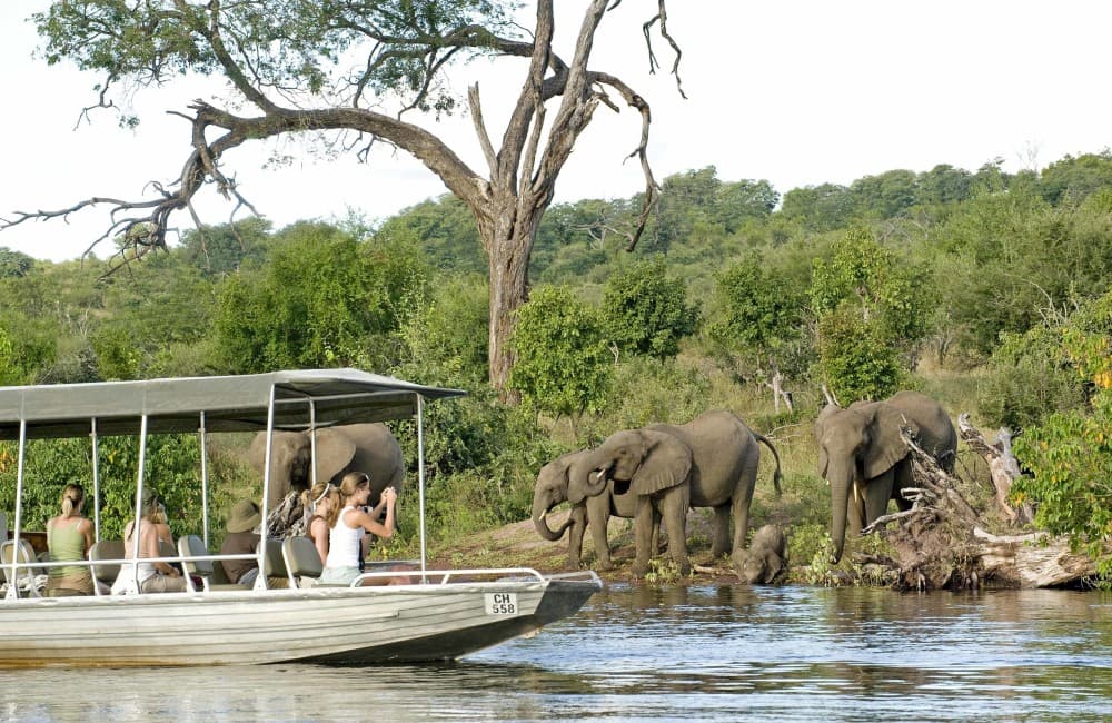 Chobe Full day Safari with Victoria falls Sunrise Tour Combo | ®ExcursionMania - Image 7