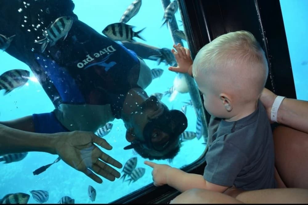 Marsa Alam: Royal Seascope Submarine Cruise with Pickup | ®ExcursionMania - Image 9