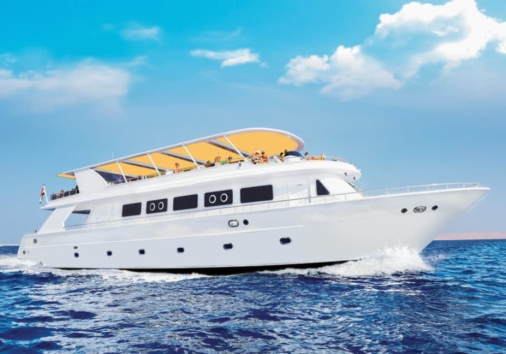 Sharm el-Sheikh: Premium Ras Mohammed & White Island Cruise | ®ExcursionMania - Image 8