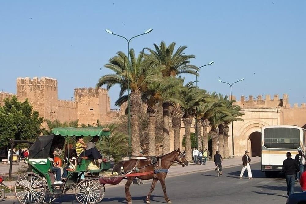 Agadir Morocco: Day Trip To Taroudant & Tiout Oasis with Lunch | ®ExcursionMania - Image 1