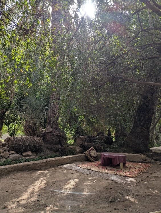 Agadir Morocco: Day Trip To Taroudant & Tiout Oasis with Lunch | ®ExcursionMania - Image 5