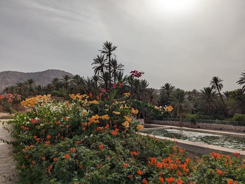 Agadir Morocco: Day Trip To Taroudant & Tiout Oasis with Lunch | ®ExcursionMania - Image 6