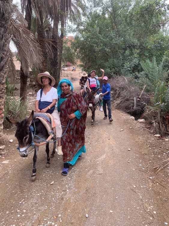 Agadir Morocco: Day Trip To Taroudant & Tiout Oasis with Lunch | ®ExcursionMania - Image 9