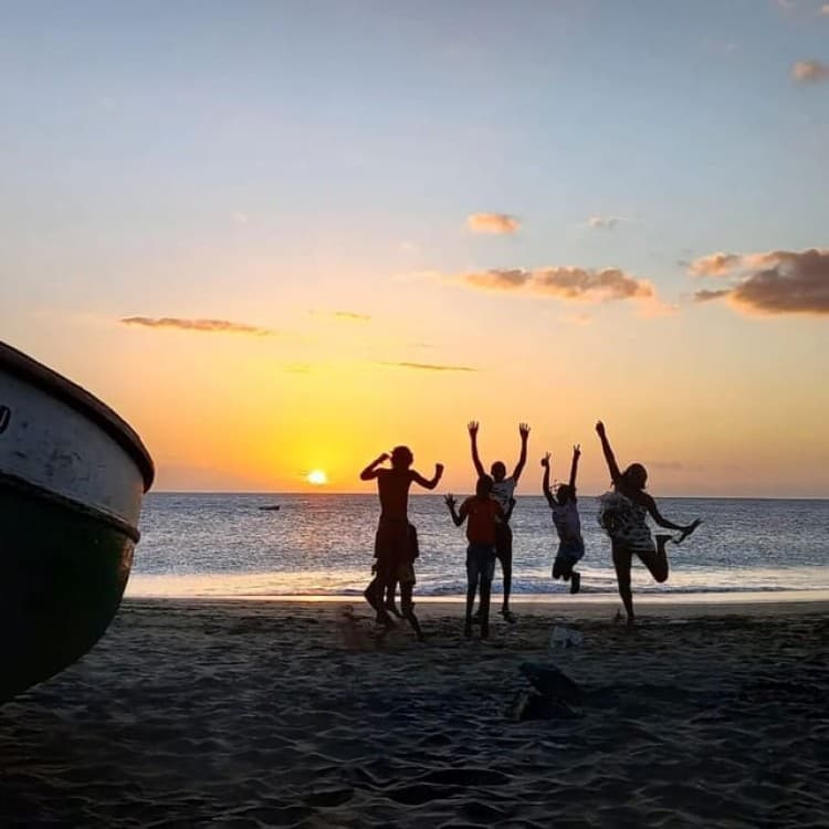 Mindelo: Sea Turtles Experience | ®ExcursionMania - Image 5