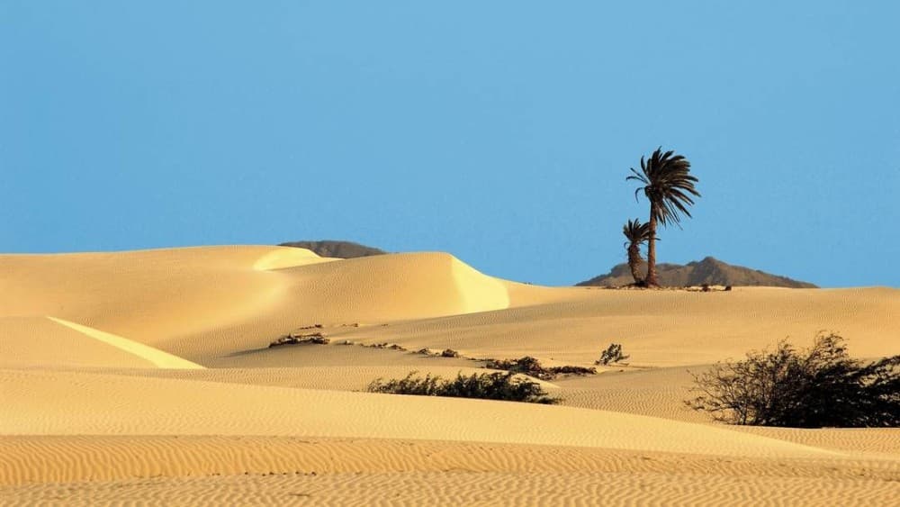Shipwreck Viana Desert Fatima Chapel & Pottery | ®ExcursionMania - Image 1